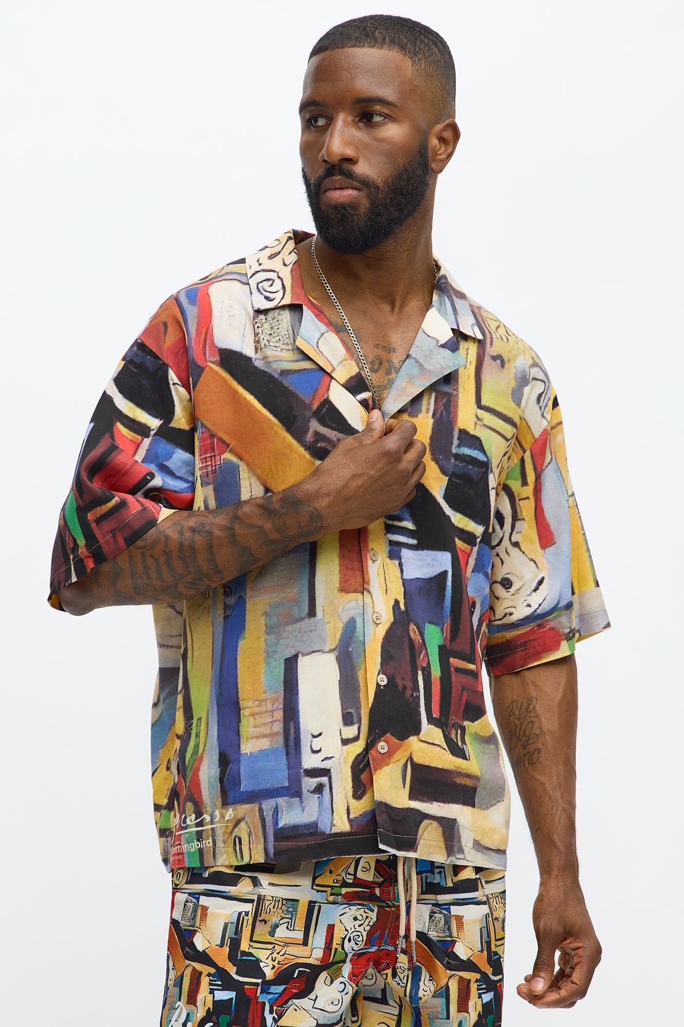 Picasso A La Hummingbird Button Up Shirt - Multi Color