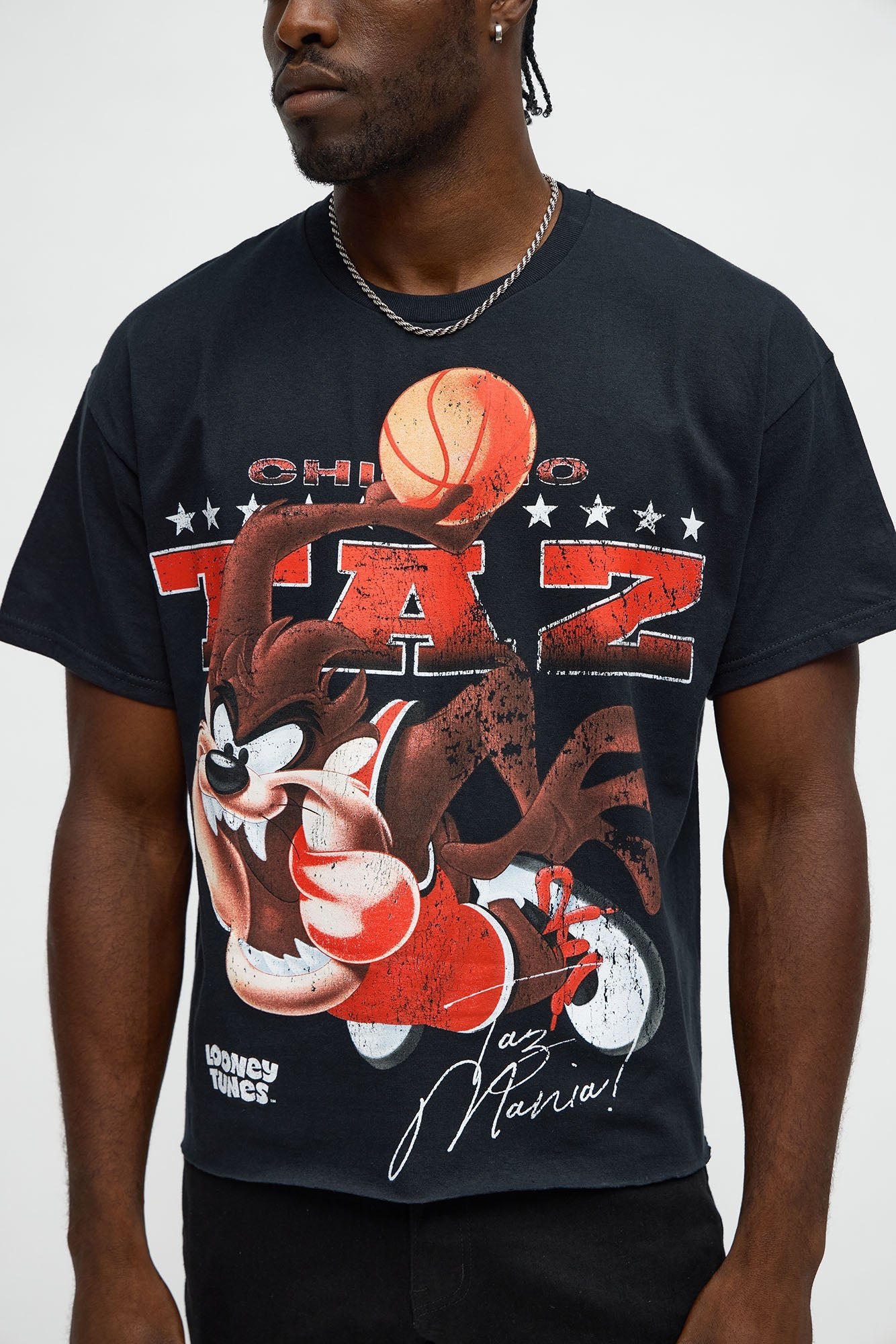 Looney Tunes Chicago Taz Short Sleeve Tee - Black