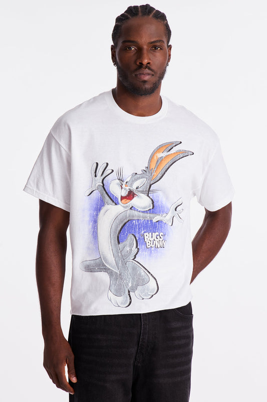 Looney Tunes Bugs And Friends Short Sleeve Tee - White
