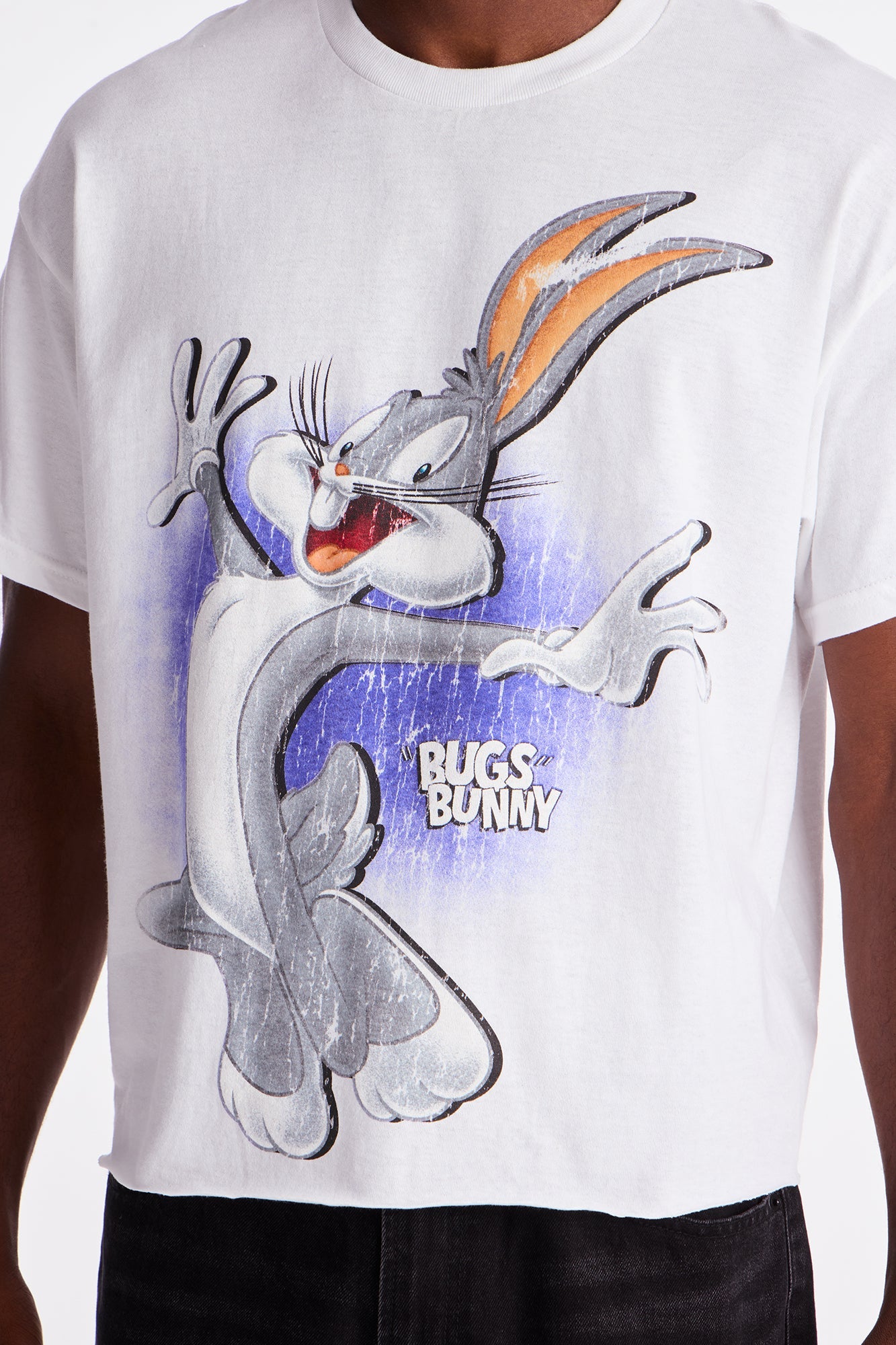 Looney Tunes Bugs And Friends Short Sleeve Tee - White