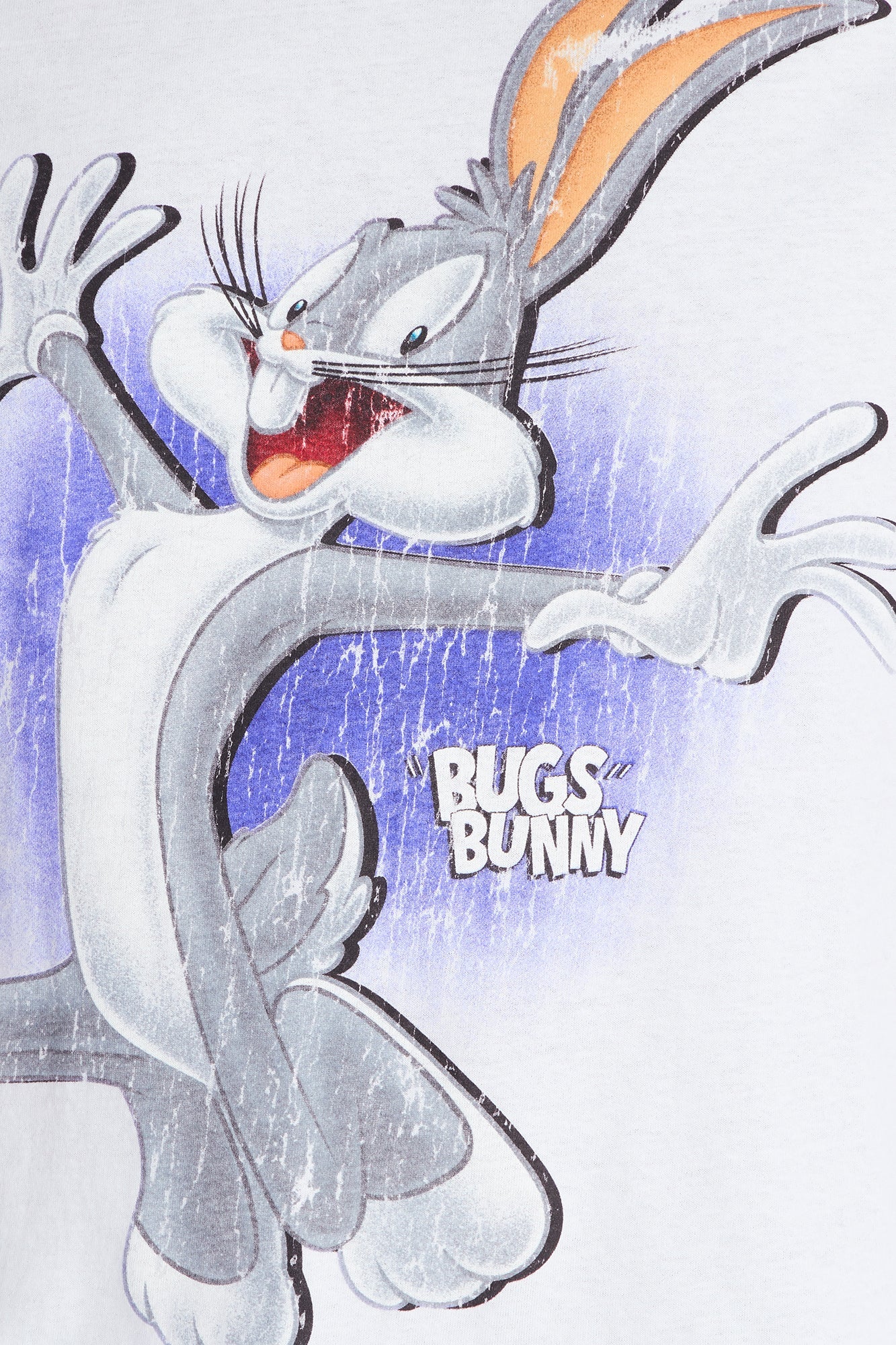 Looney Tunes Bugs And Friends Short Sleeve Tee - White
