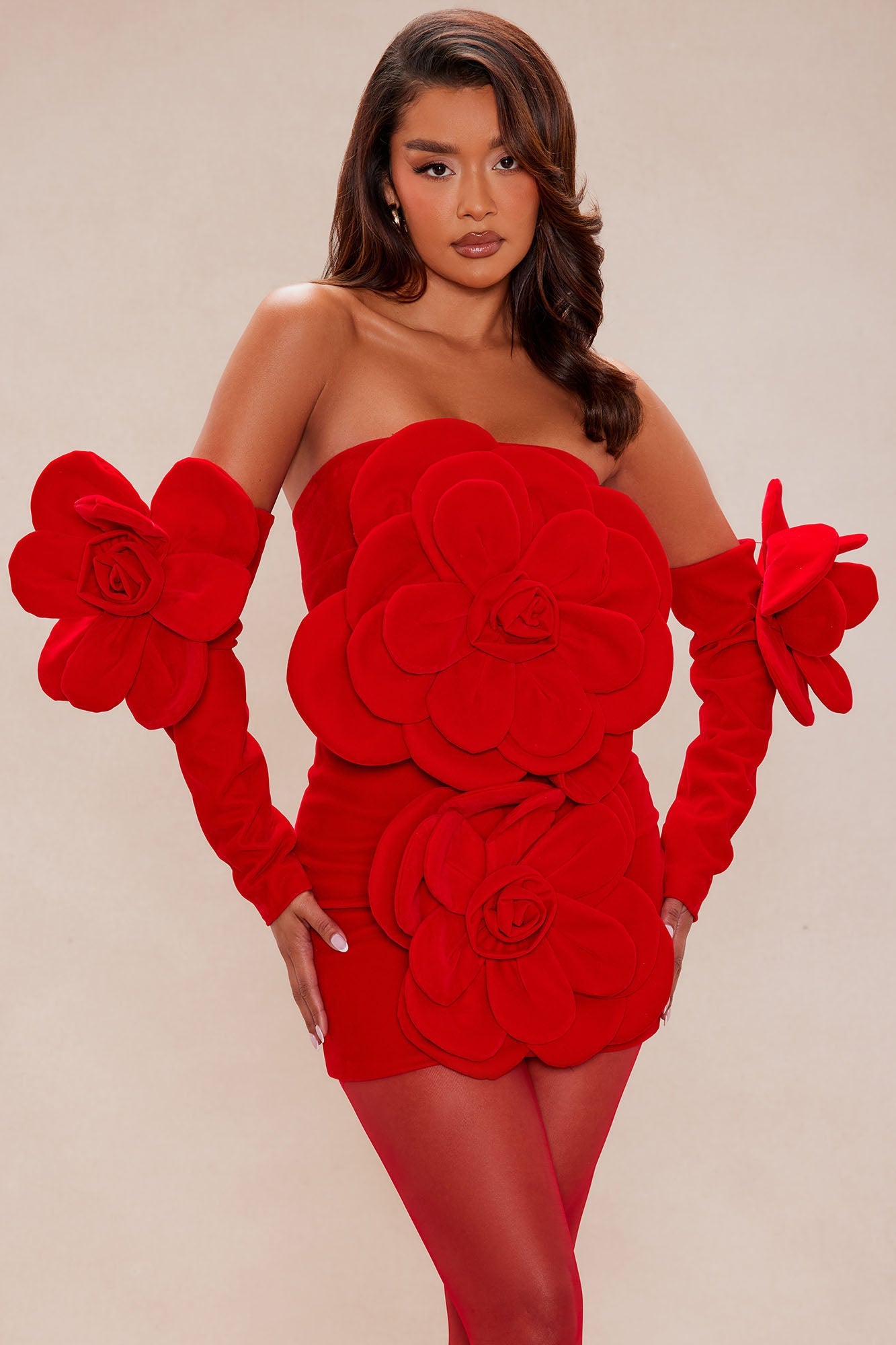 Bianca Floral Applique Velvet Mini Dress - Red