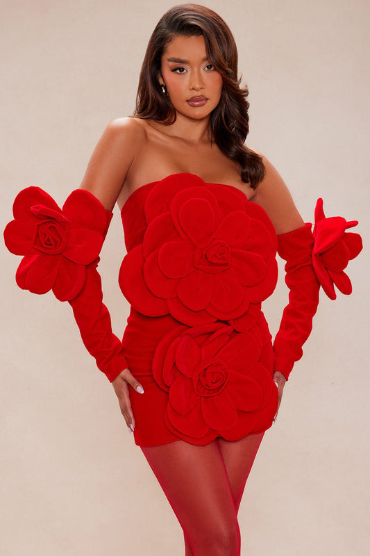 Bianca Floral Applique Velvet Mini Dress - Red