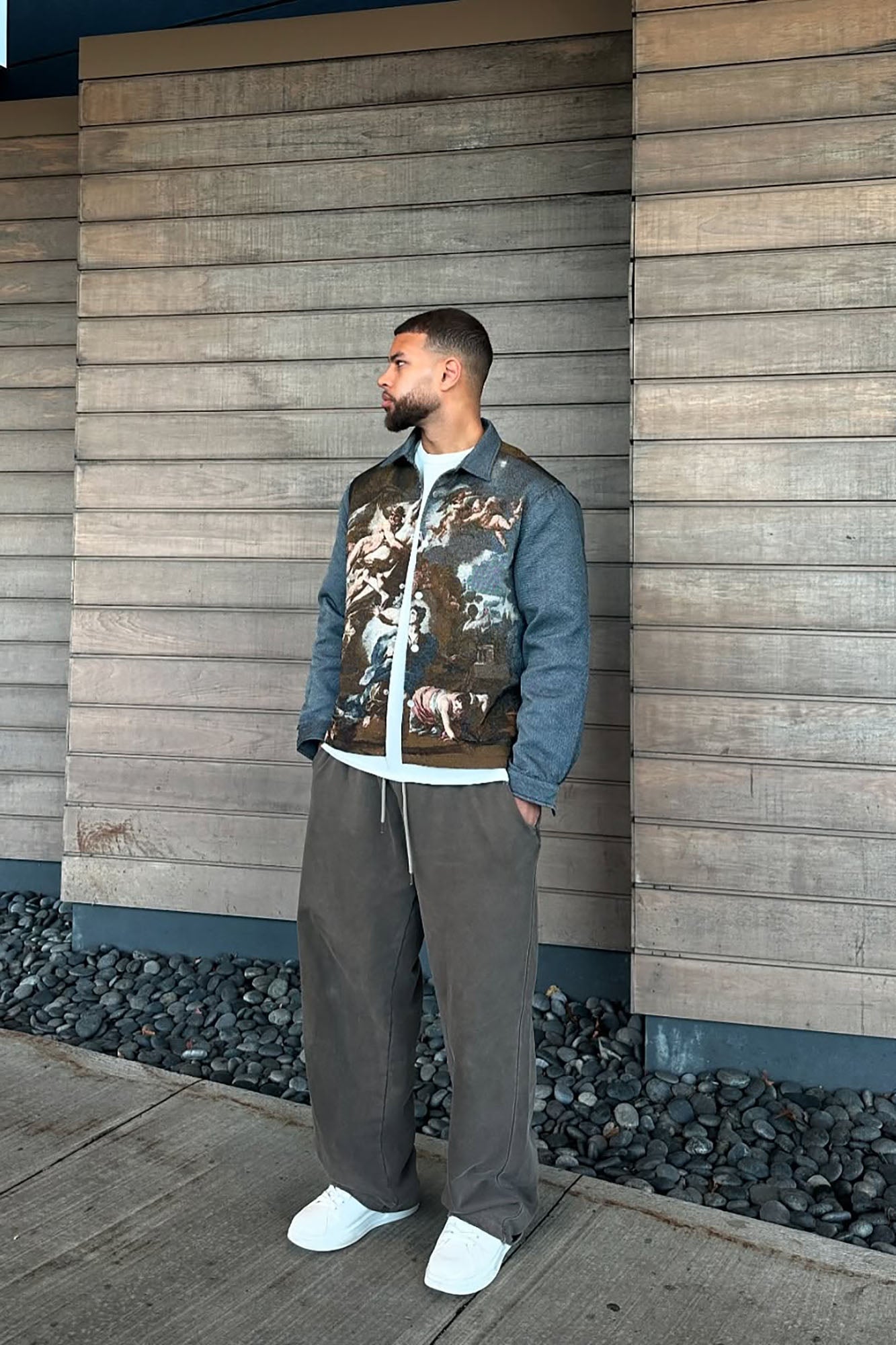 Cassiel Tapestry Cropped Button Up Shirt - Multi Color