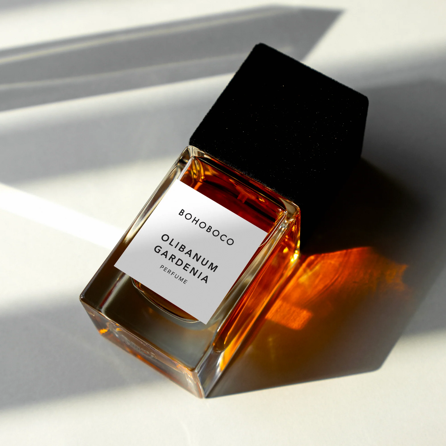 Olibanum Gardenia