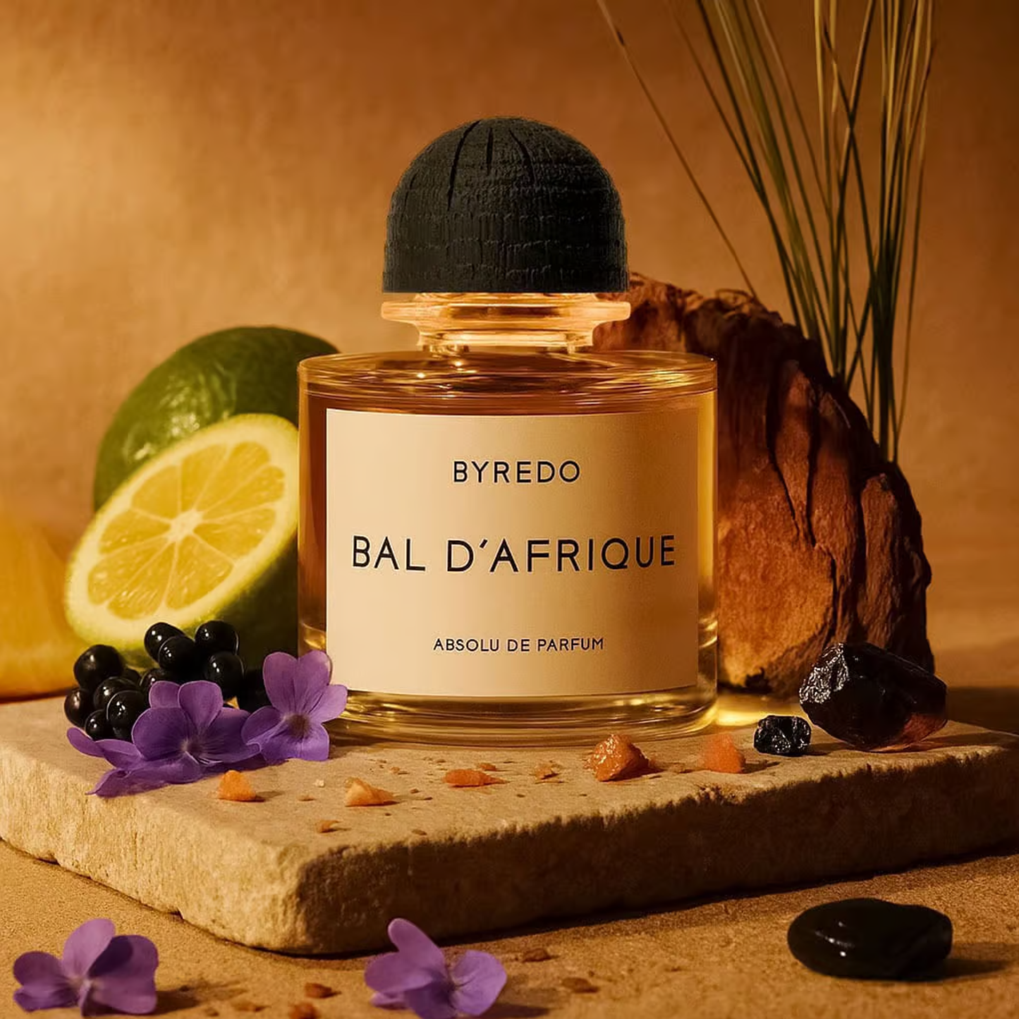 Bal d'Afrique Absolu