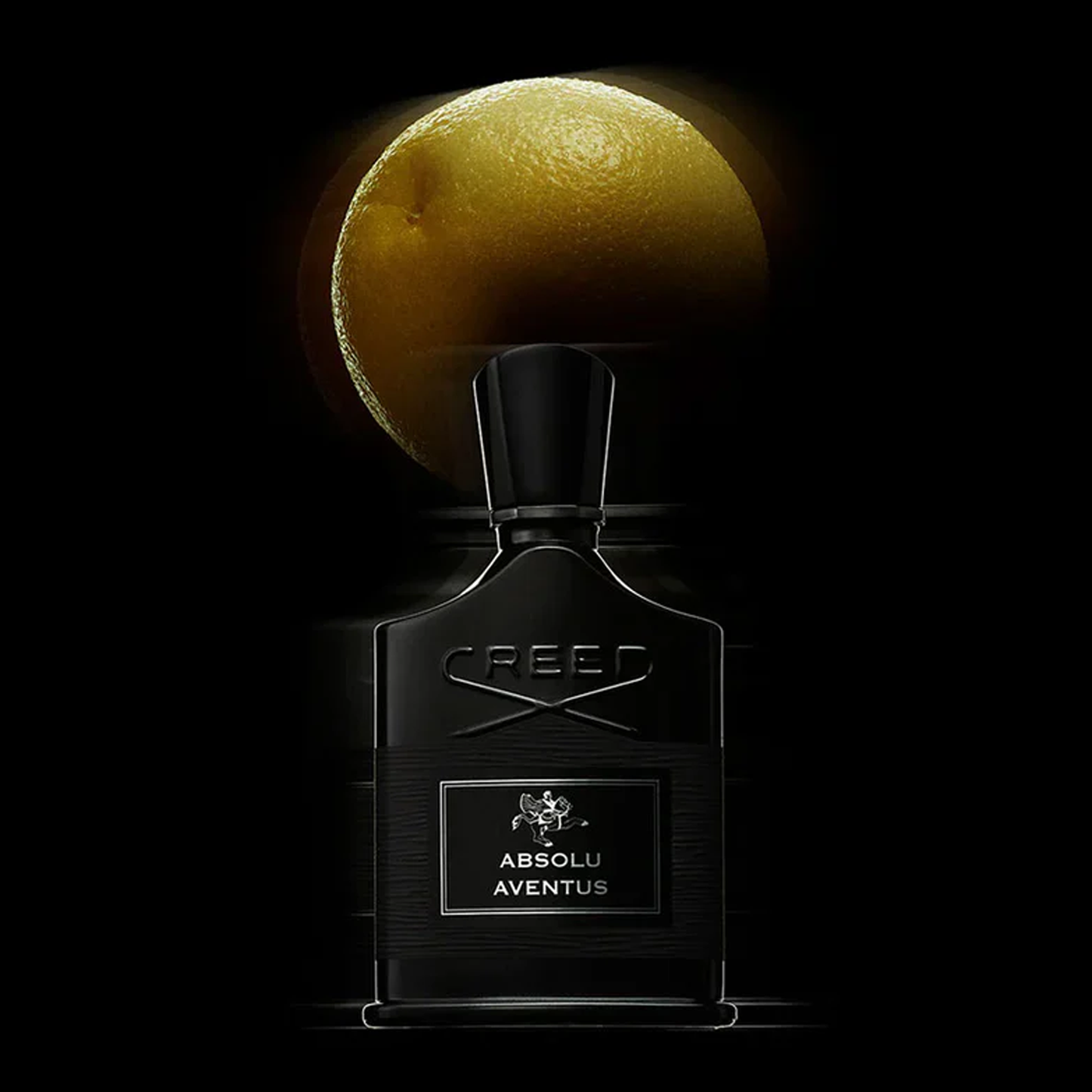 Absolu Aventus 2025
