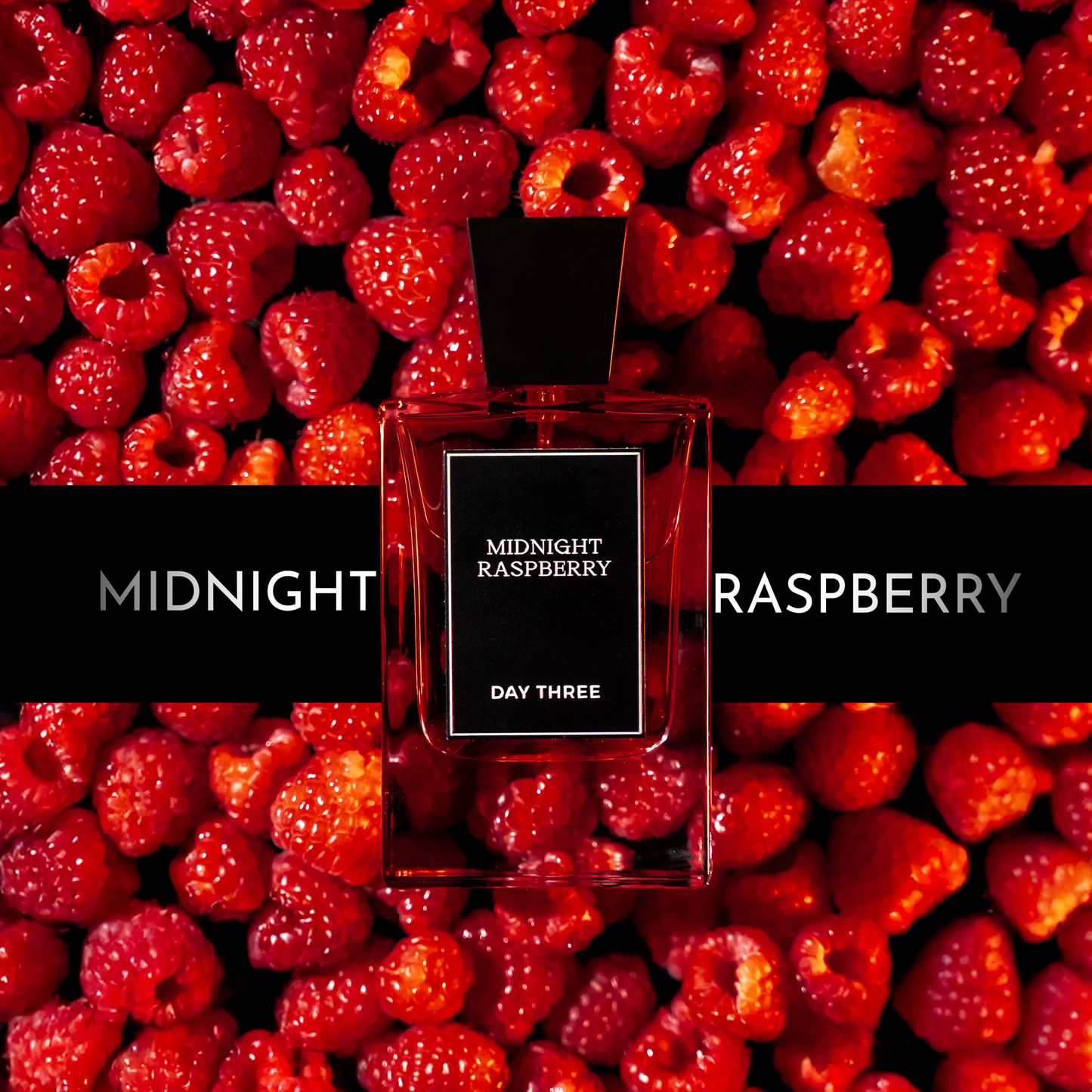 Midnight Raspberry